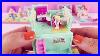 My_Vintage_Polly_Pocket_Collection_5_Houses_Pollyville_1993_01_rhhp