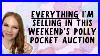 This_Weekend_S_Auction_All_The_Sets_Vintage_Polly_Pocket_Collection_01_yp